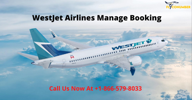 https://mlc-wels.edu/wp-content/uploads/formidable/8/How_do_I_get_a_response_from_Westjet_Airlines.pdf
